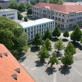 Ausblick vom Turm der Neustädter Hof- und Stadtkirche (© Thomas Christes)