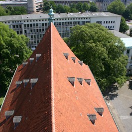 Ausblick vom Turm der Neustädter Hof- und Stadtkirche (© Thomas Christes)